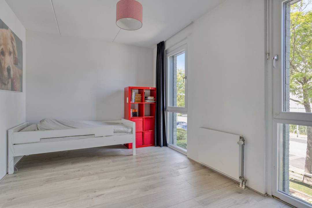 Photo 16 of Speenkruid 29