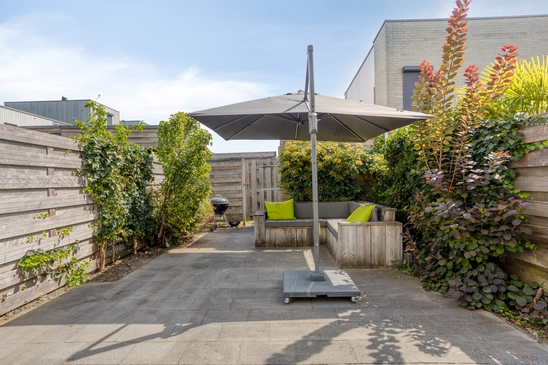 Photo 28 of Speenkruid 29