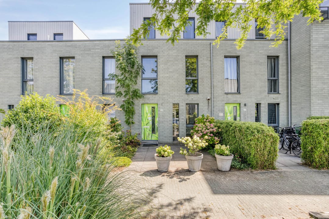 Photo 31 of Speenkruid 29