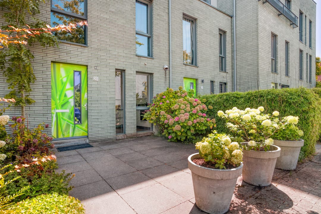 Photo 32 of Speenkruid 29