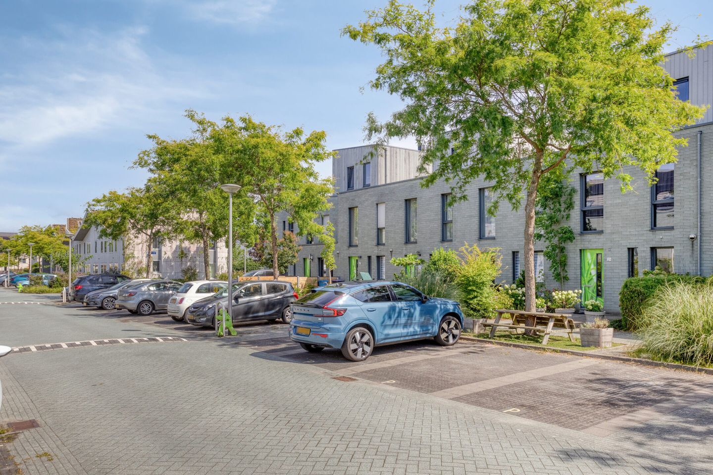 Photo 35 of Speenkruid 29