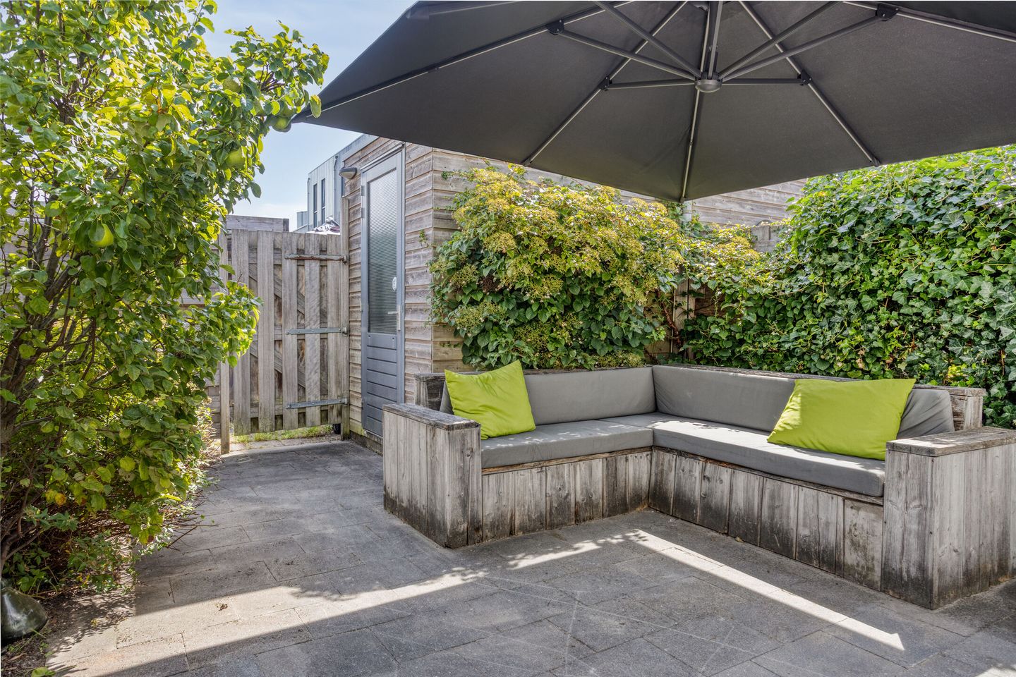 Photo 29 of Speenkruid 29