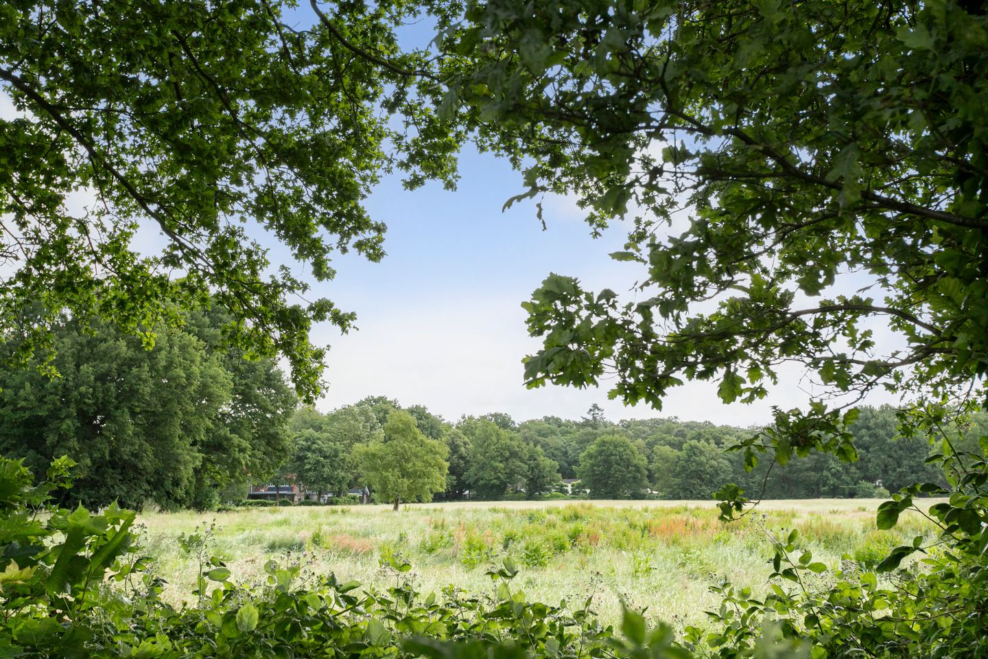 Foto 55 van Nieuwe Dreef 43