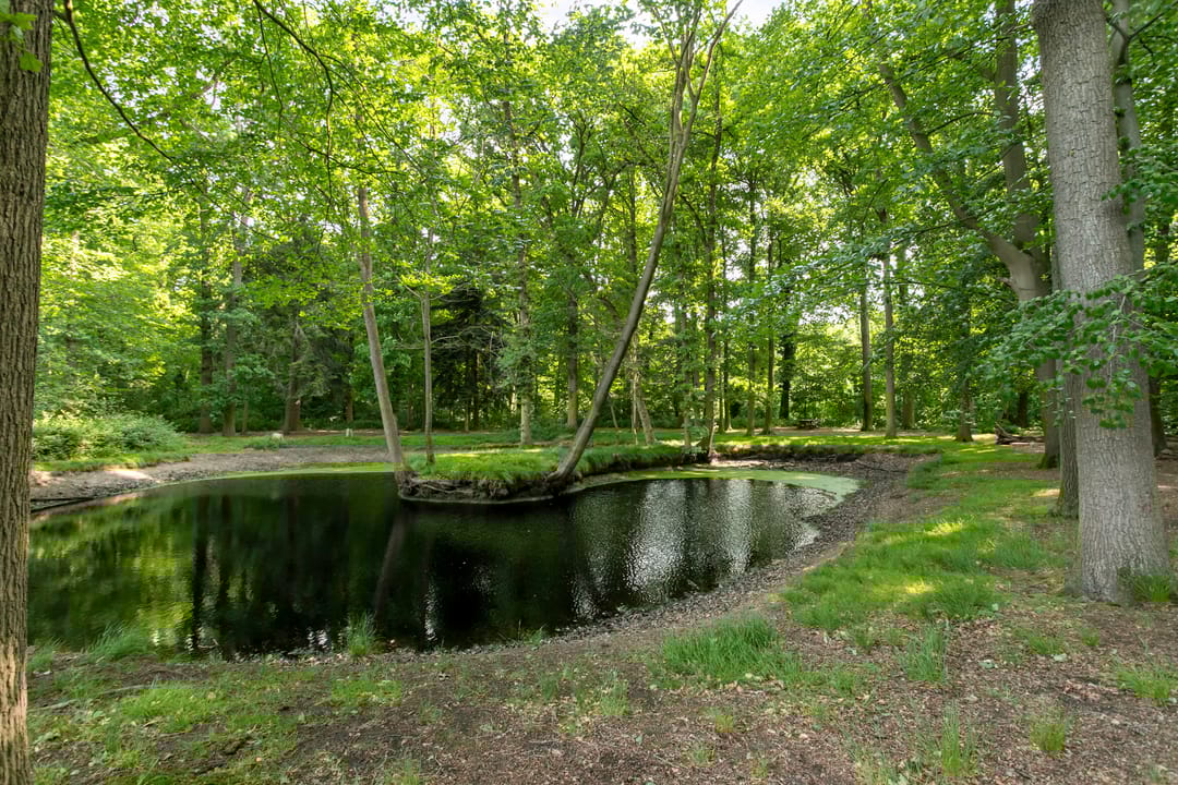 Foto 56 van Nieuwe Dreef 43