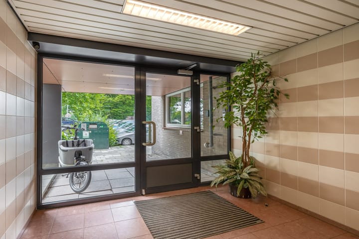 Photo 11 of Passage 38