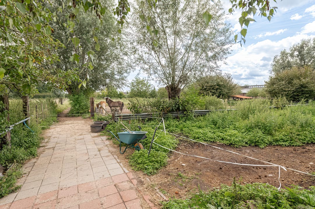 Foto 31 van Lageweg 34