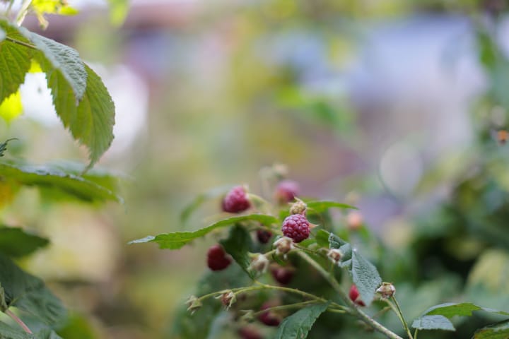 Photo 35 of Jikke Reinbergenstrjitte 38