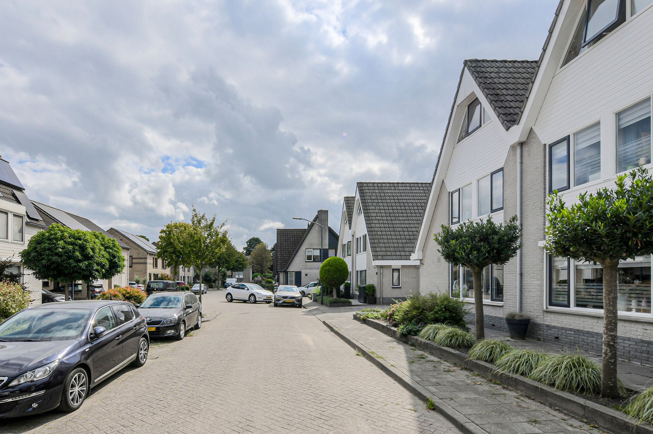 Photo 3 of Prinsendam 76