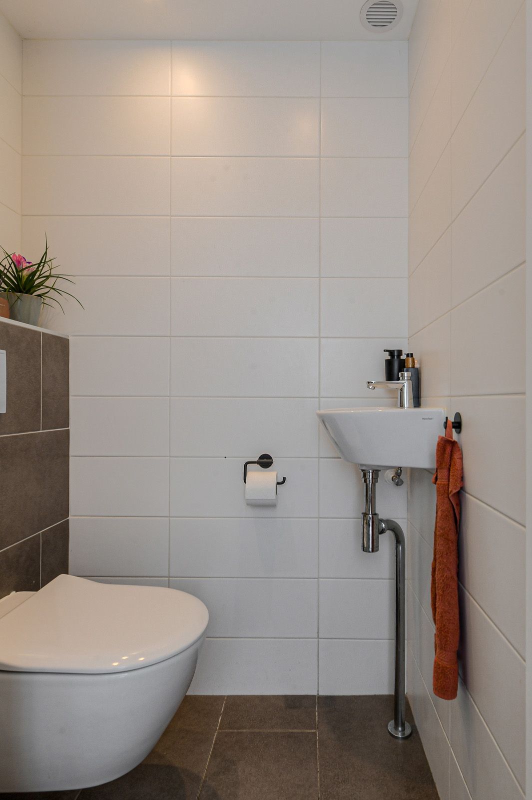 Photo 7 of Prinsendam 76