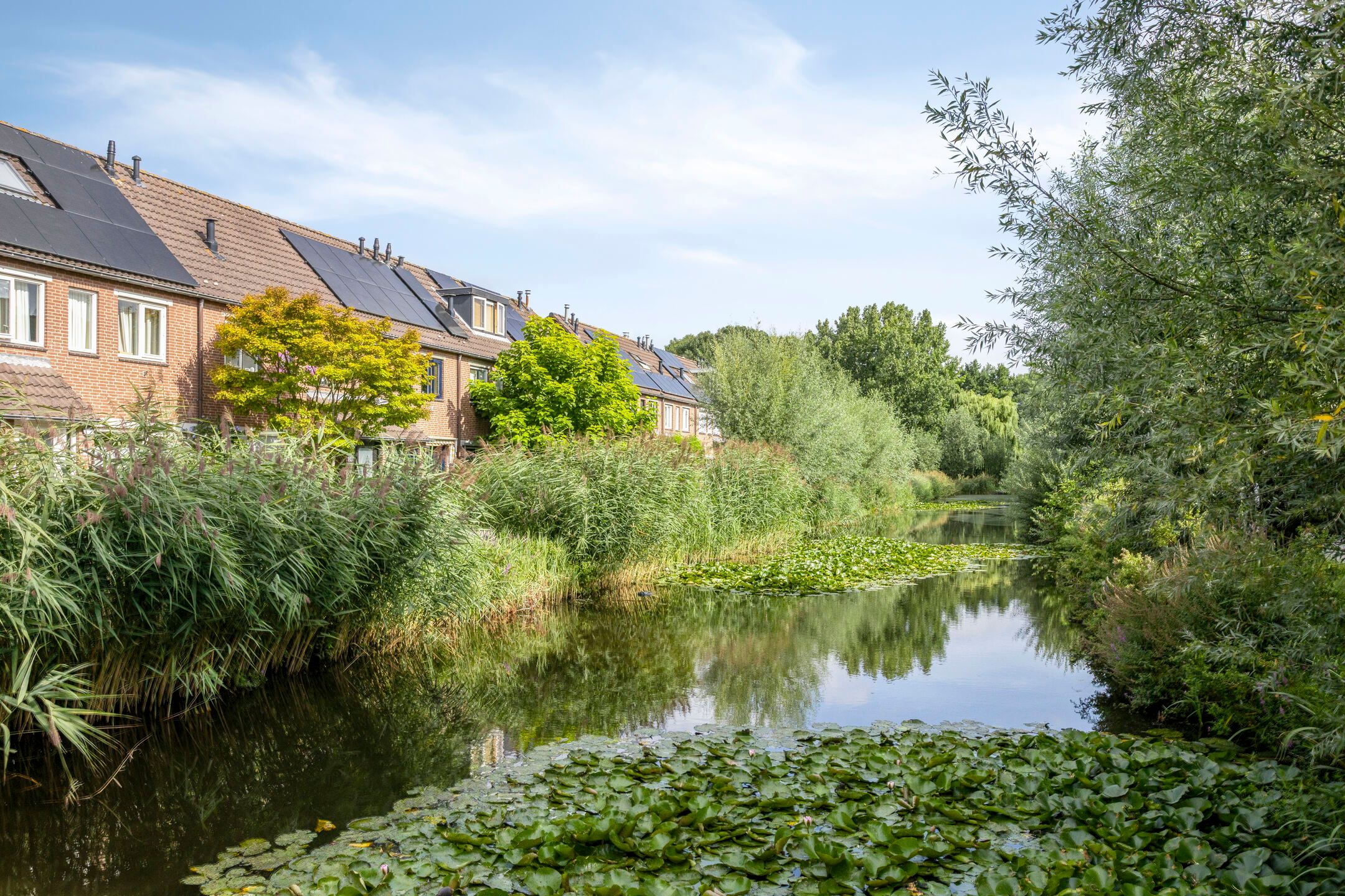 Photo 3 of Langenhorst 16