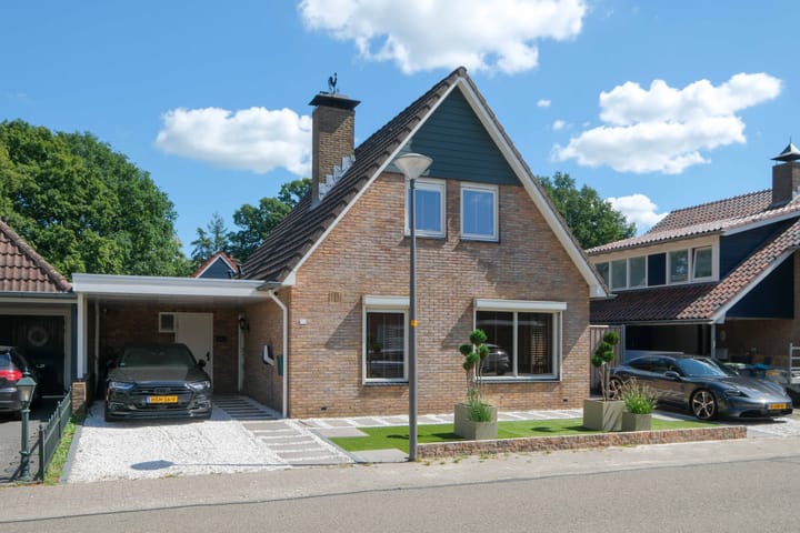 Foto 5 van Blauwgras 64