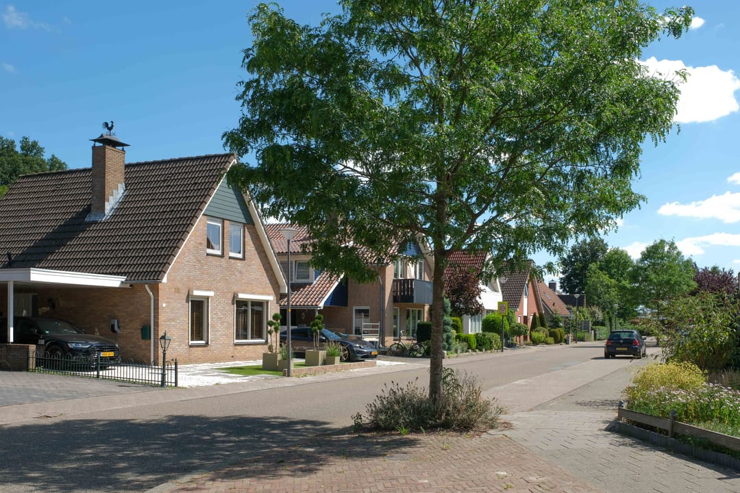 Foto 53 van Blauwgras 64