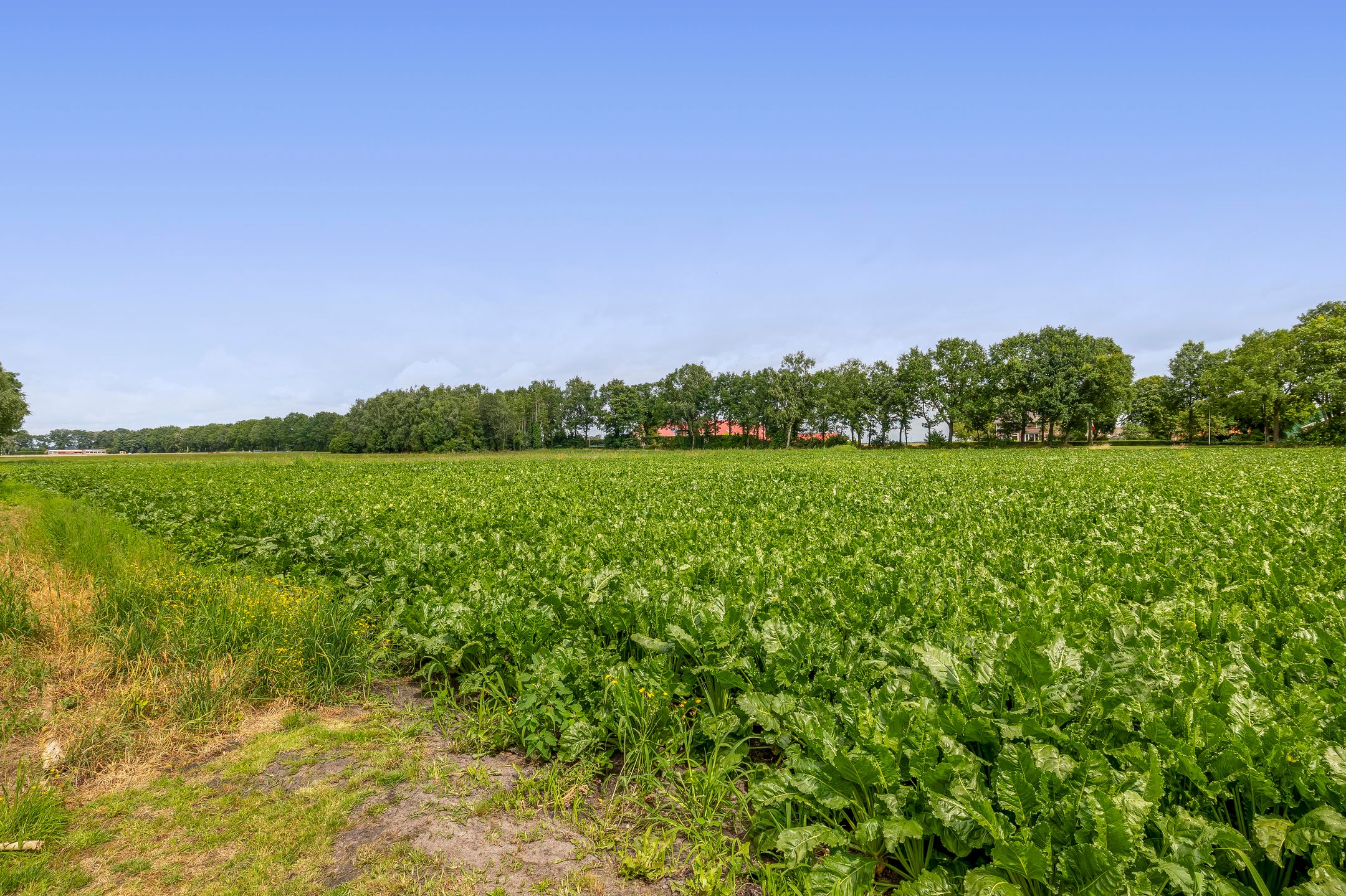 Photo 42 of Scheepswerfstraat 58