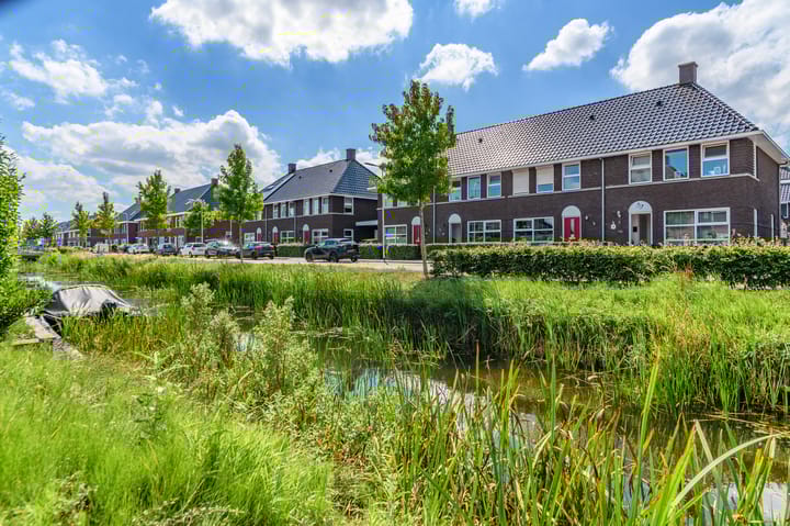 Foto 54 van Dagpauwoog 12