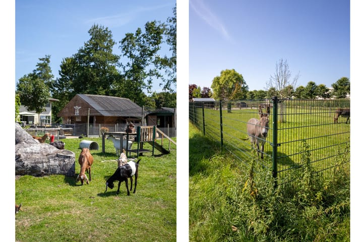 Foto 36 van Daniël Stalpaertstraat 71