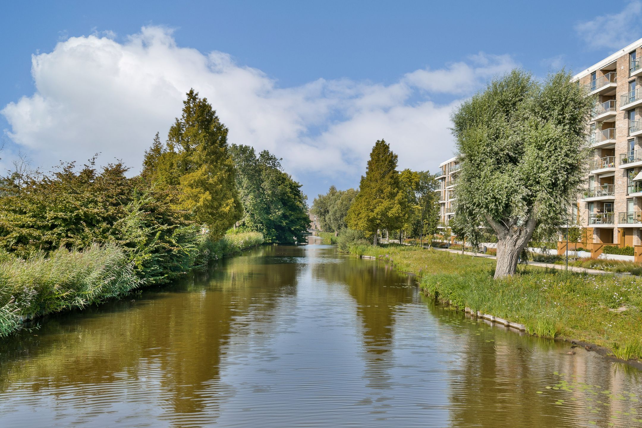 Foto 30 van Anthony Roodvoetsstraat 21