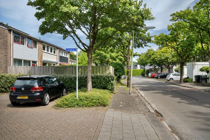 Foto 35 van Veldbies 26