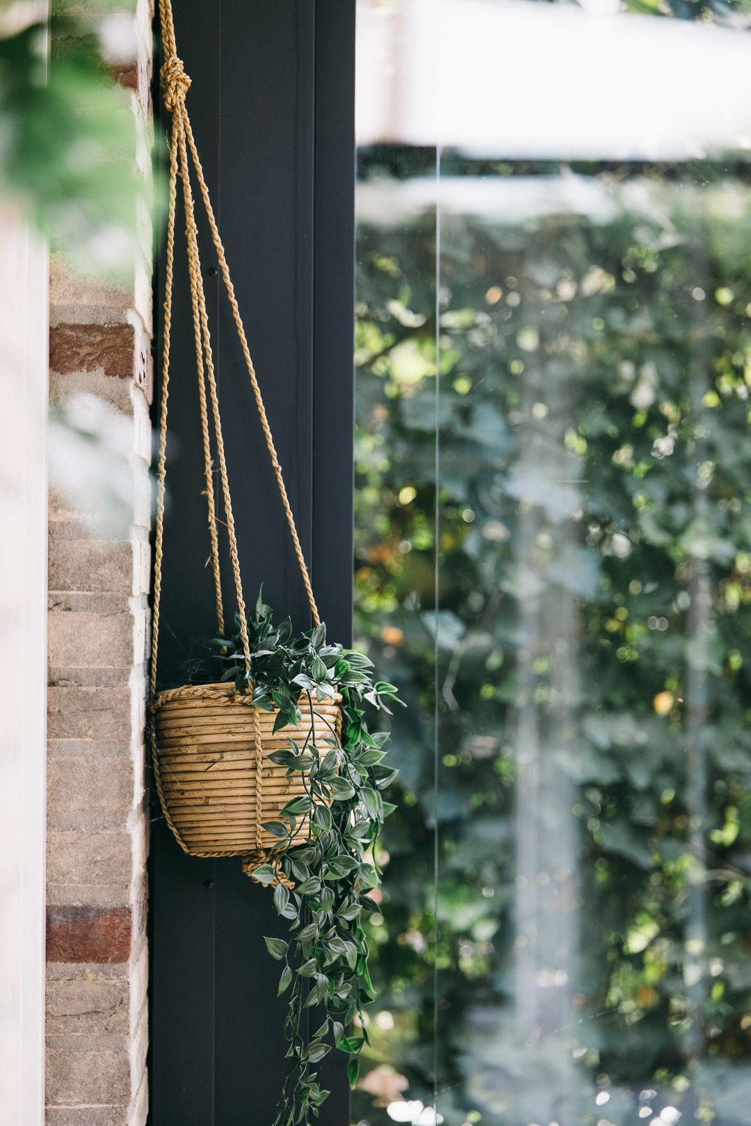 Photo 22 of Oberon 4