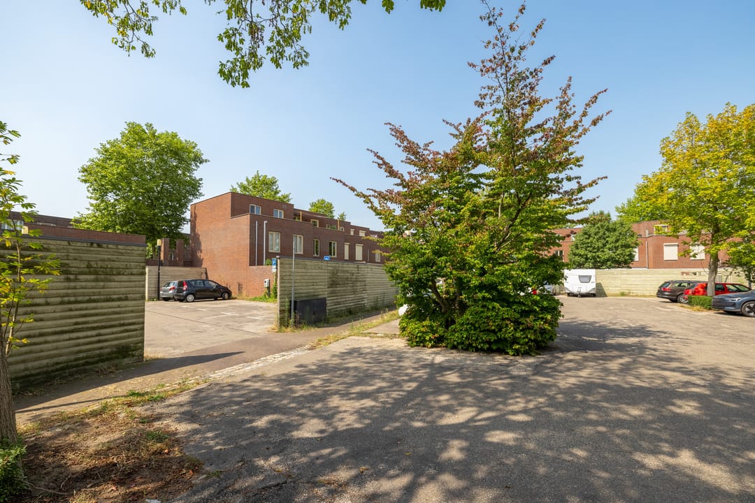 Photo 67 of Oberon 4