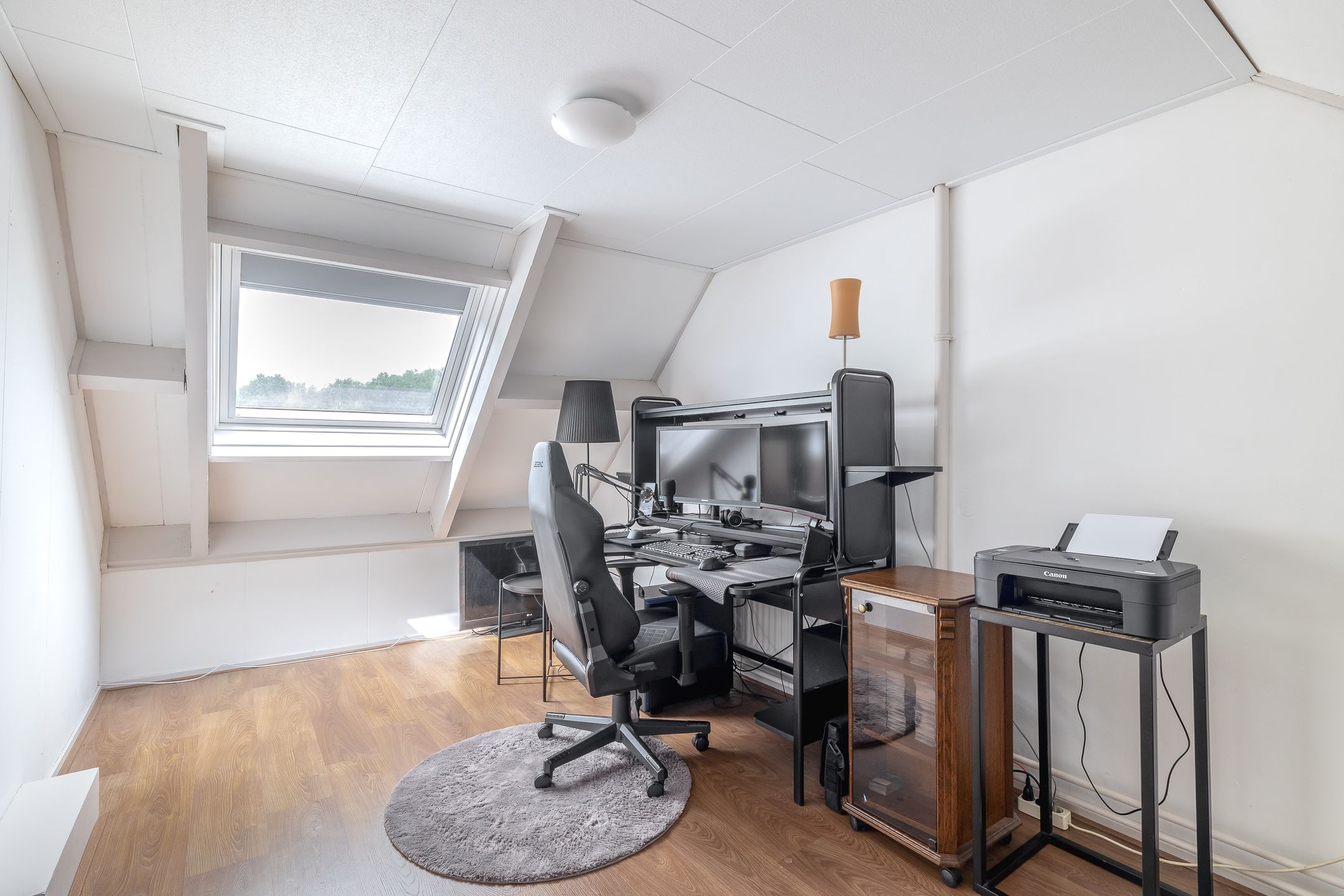 Foto 33 van Harm Tiesingstraat 44