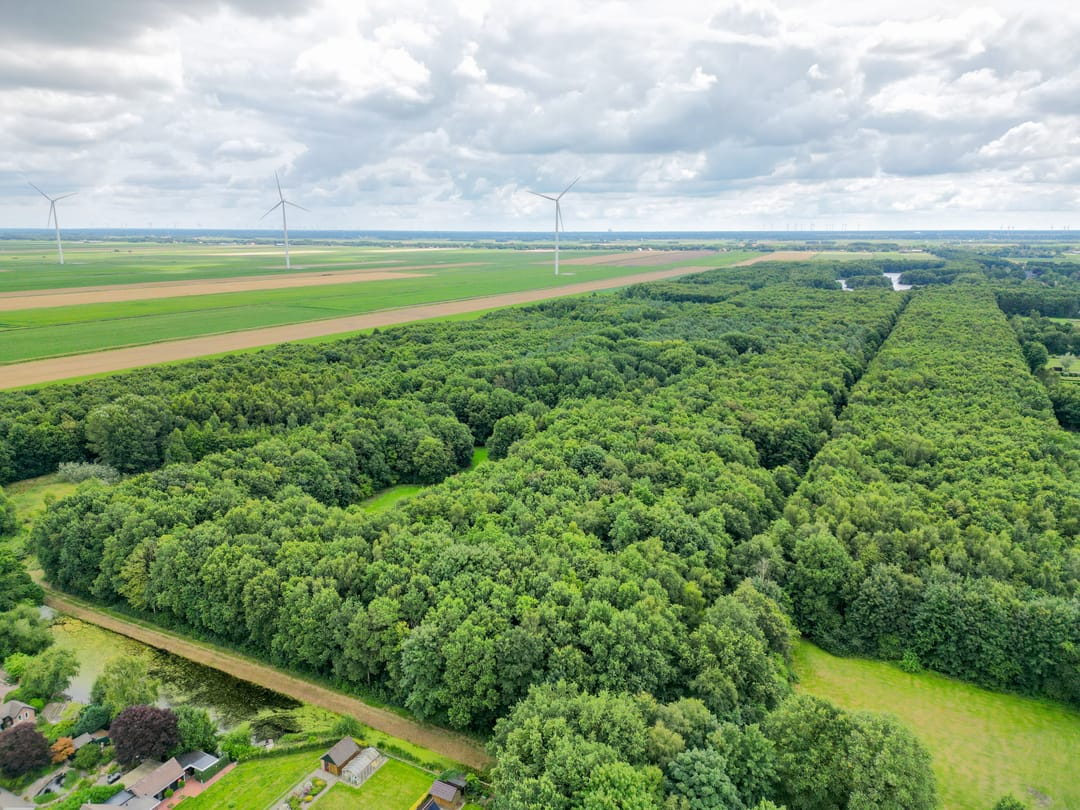 Foto 41 van Harm Tiesingstraat 44