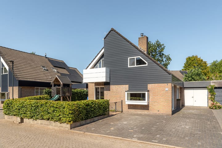 Foto 1 van De Twee Gebroeders 10