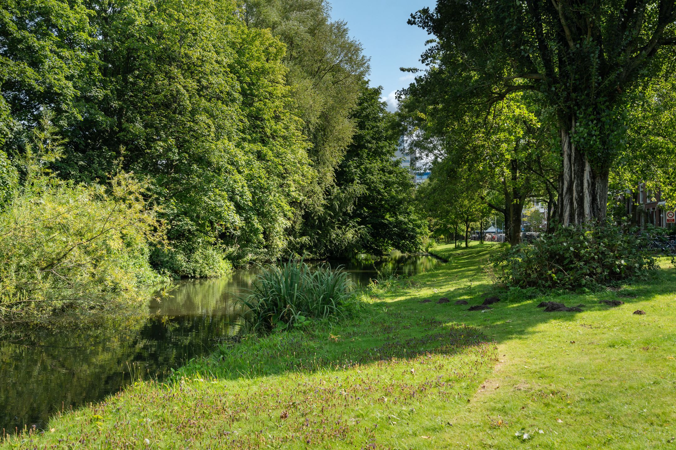 Foto 6 van Velsenluststraat 4-A03