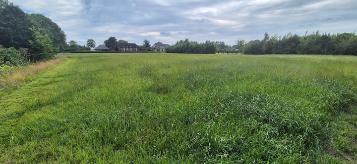 Foto 3 van Hamstrastraat