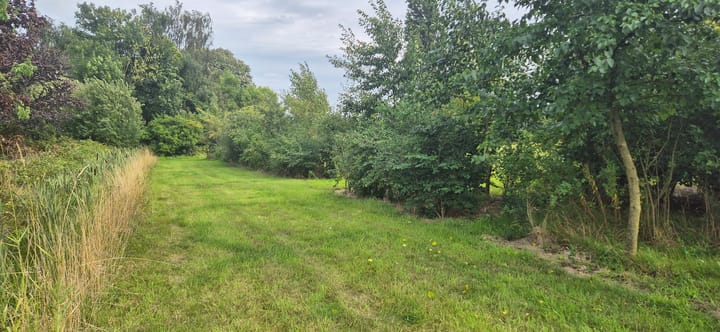 Foto 4 van Hamstrastraat