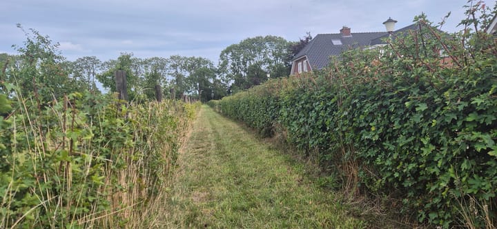 Foto 5 van Hamstrastraat