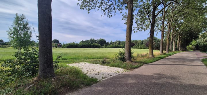 Foto 6 van Hamstrastraat