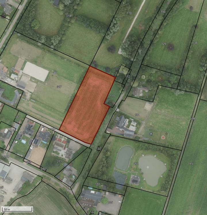 Foto 8 van Hamstrastraat