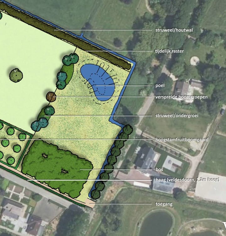 Foto 7 van Hamstrastraat