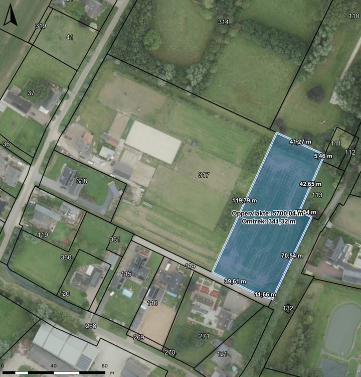 Foto 9 van Hamstrastraat