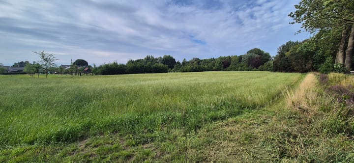 Foto 2 van Hamstrastraat