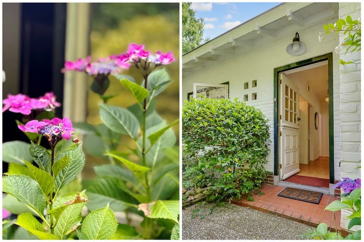 Foto 3 van Julianalaan 265