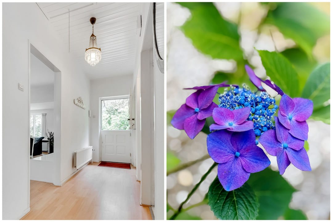 Foto 28 van Julianalaan 265