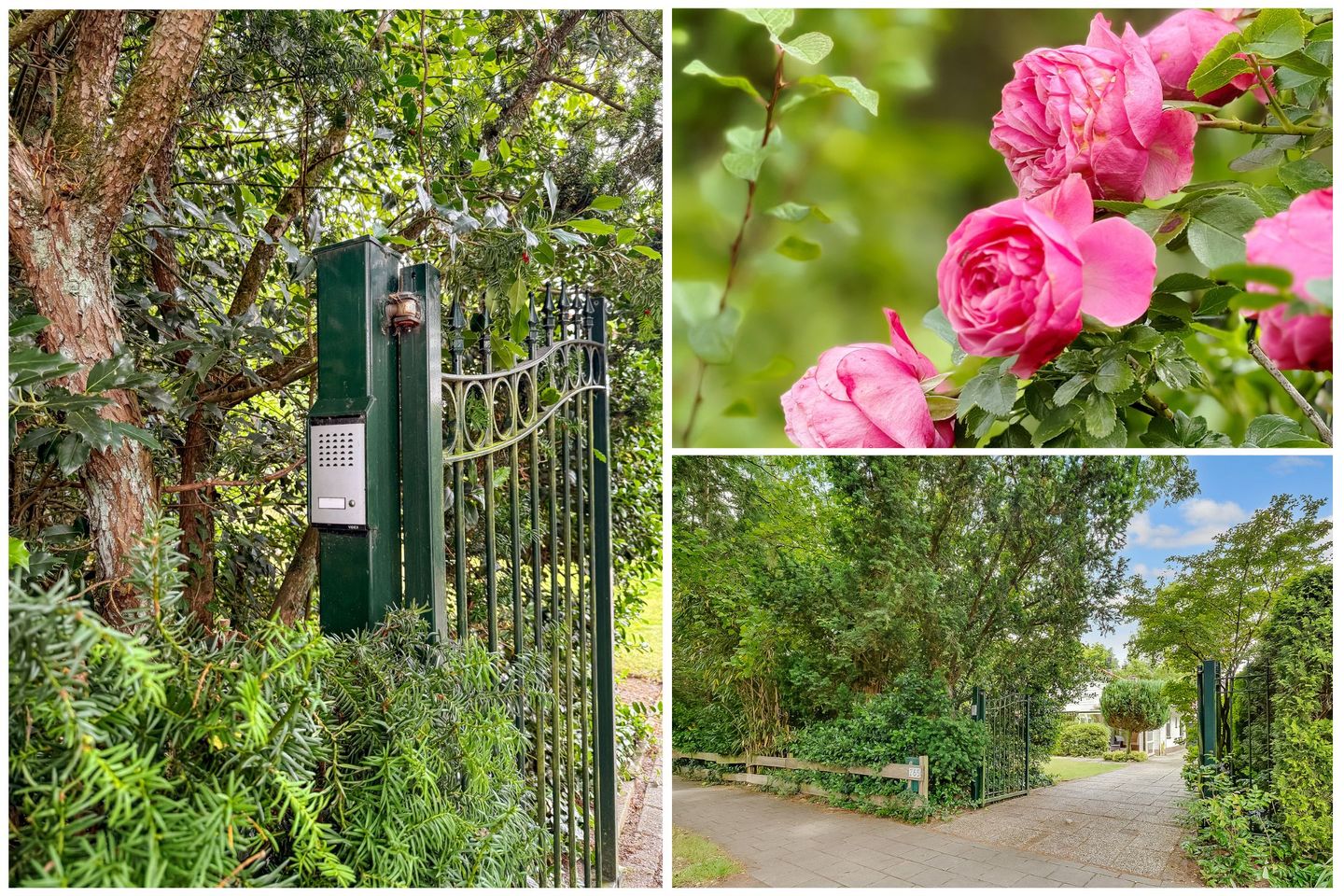 Foto 55 van Julianalaan 265