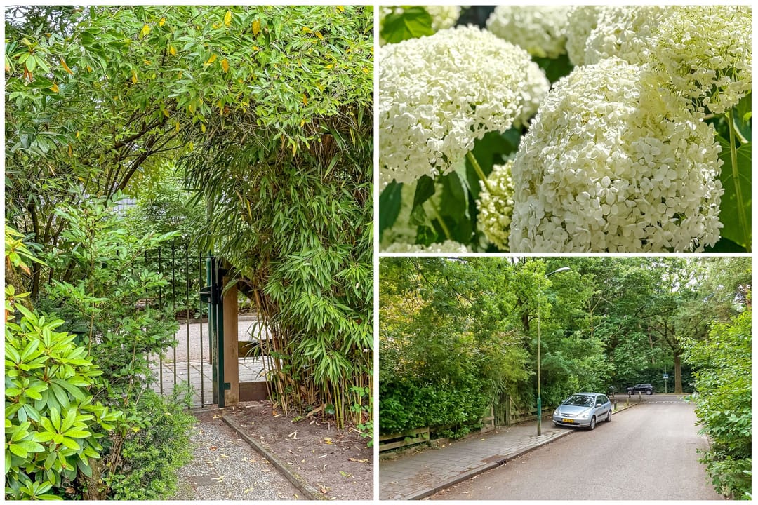 Foto 58 van Julianalaan 265