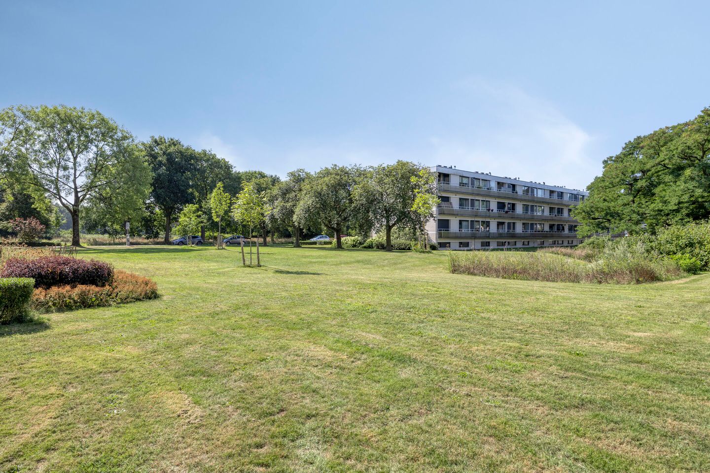 Foto 20 van Fransen van de Puttestraat 9