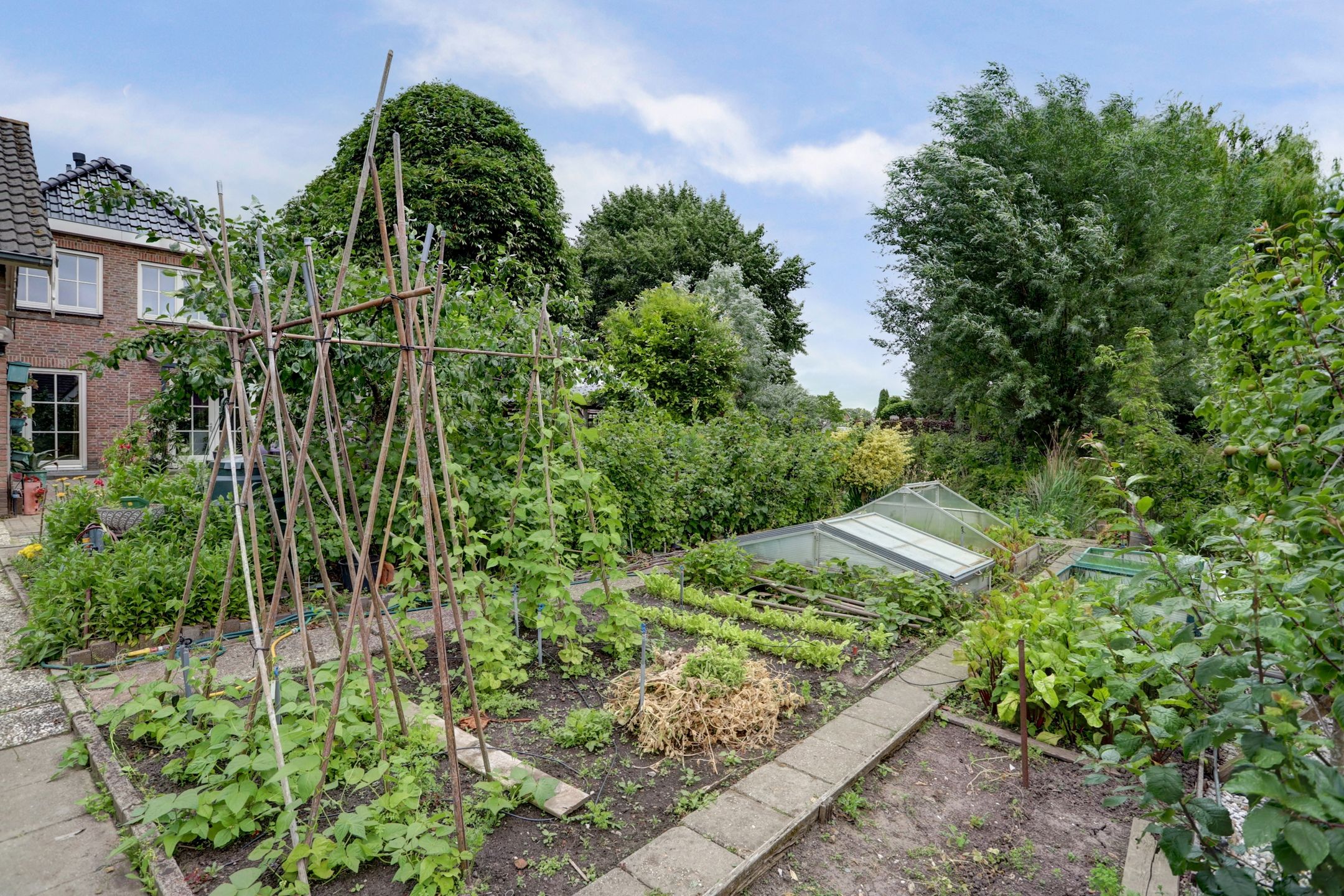 Foto 54 van Zuidzijde 39