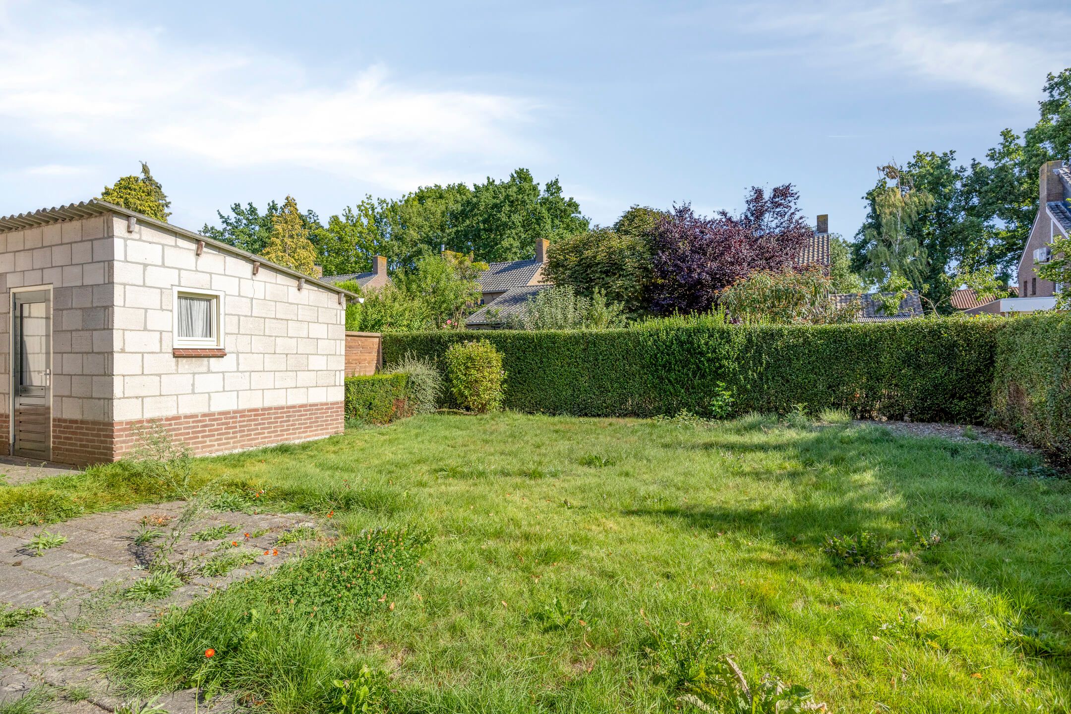 Foto 6 van Paltzstraat 27