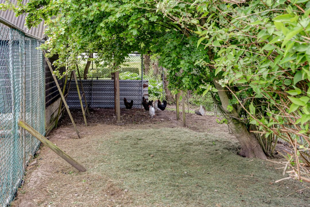 Foto 47 van Achterweg 6