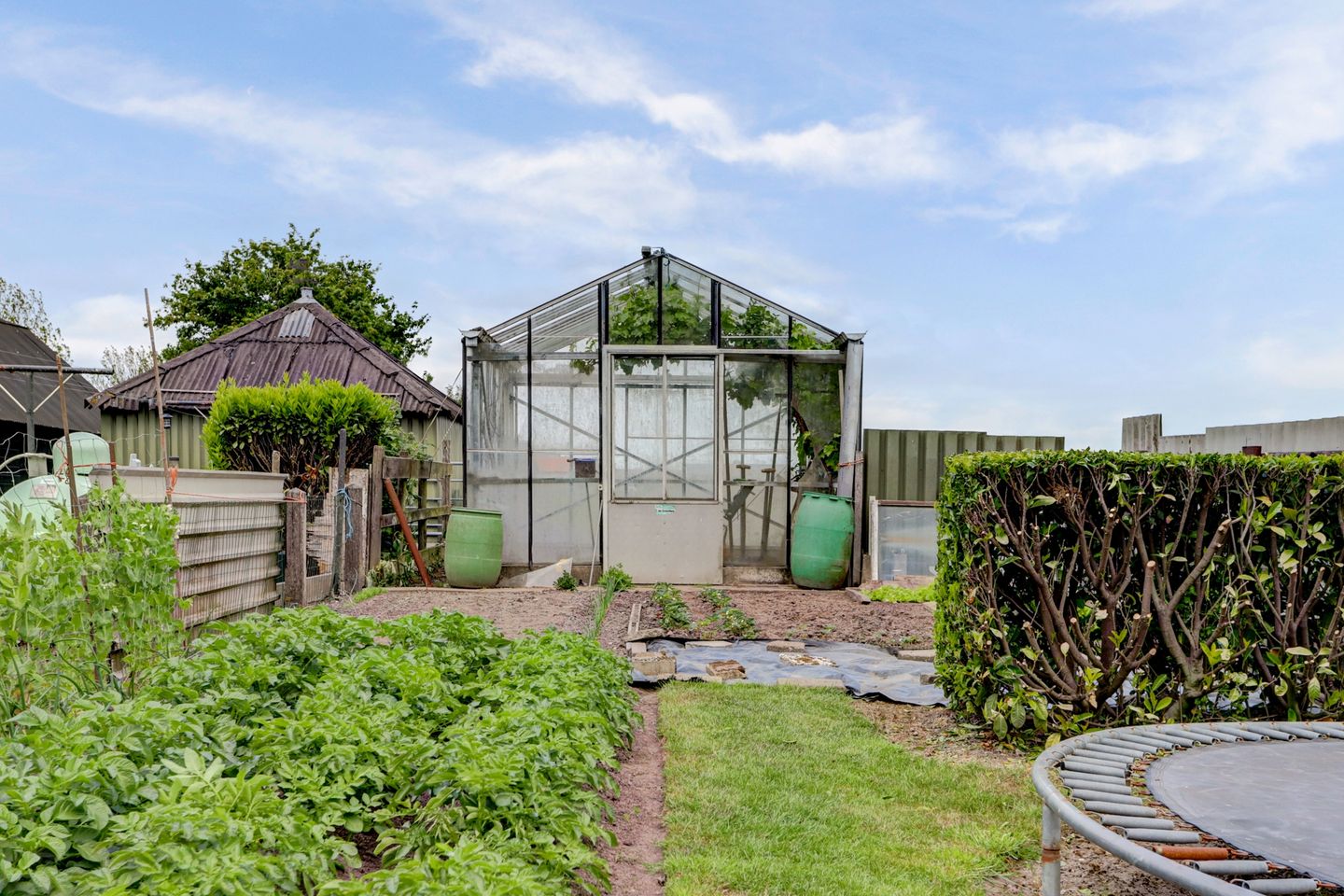 Foto 50 van Achterweg 6