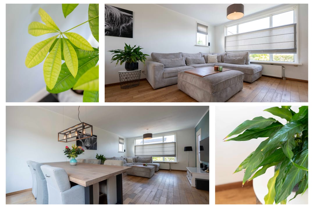 Foto 7 van Nieuwstraat 4