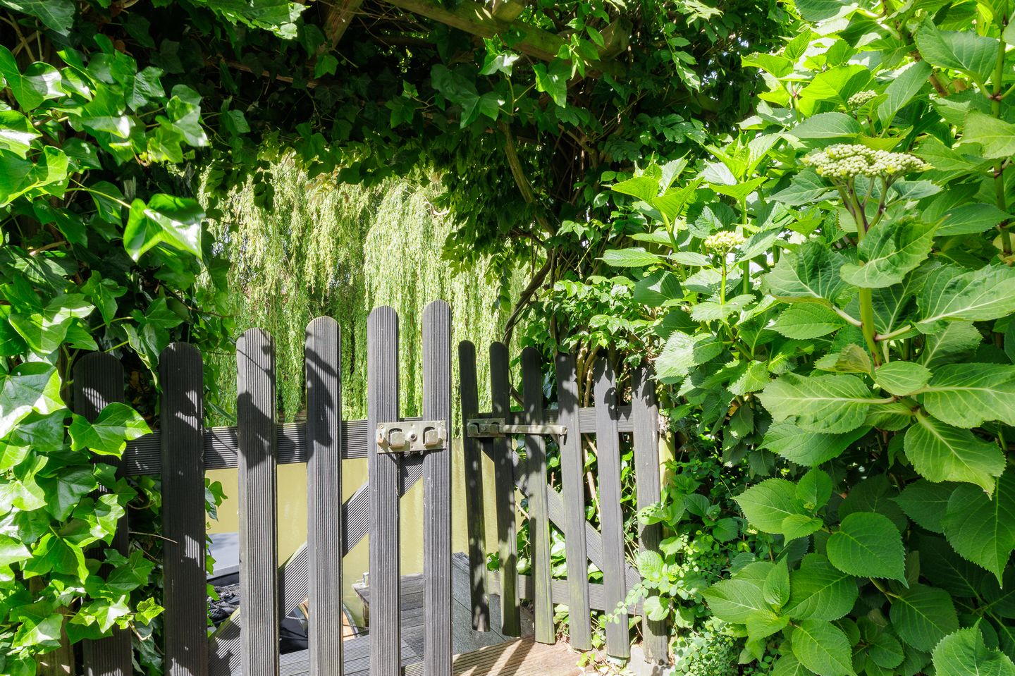 Foto 25 van Tjariet 56