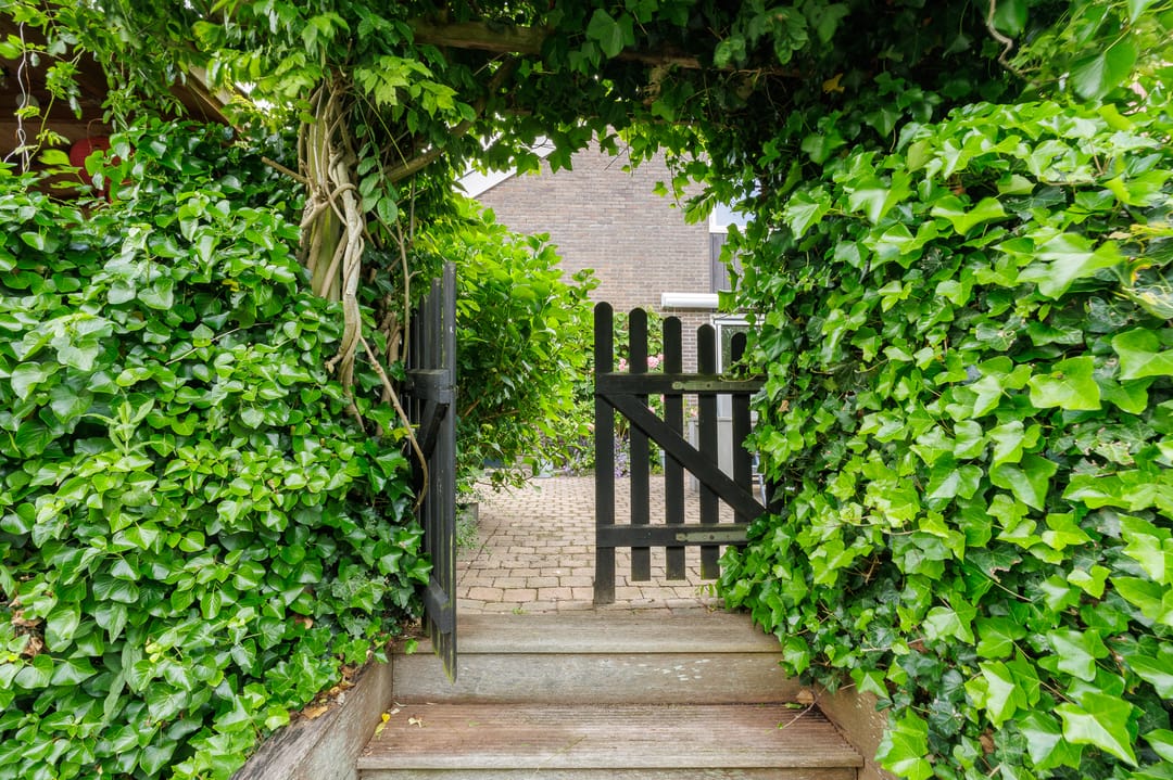 Foto 28 van Tjariet 56