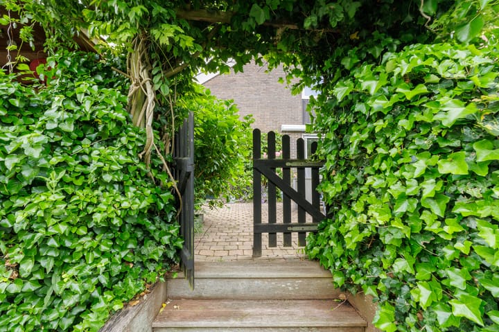 Foto 28 van Tjariet 56