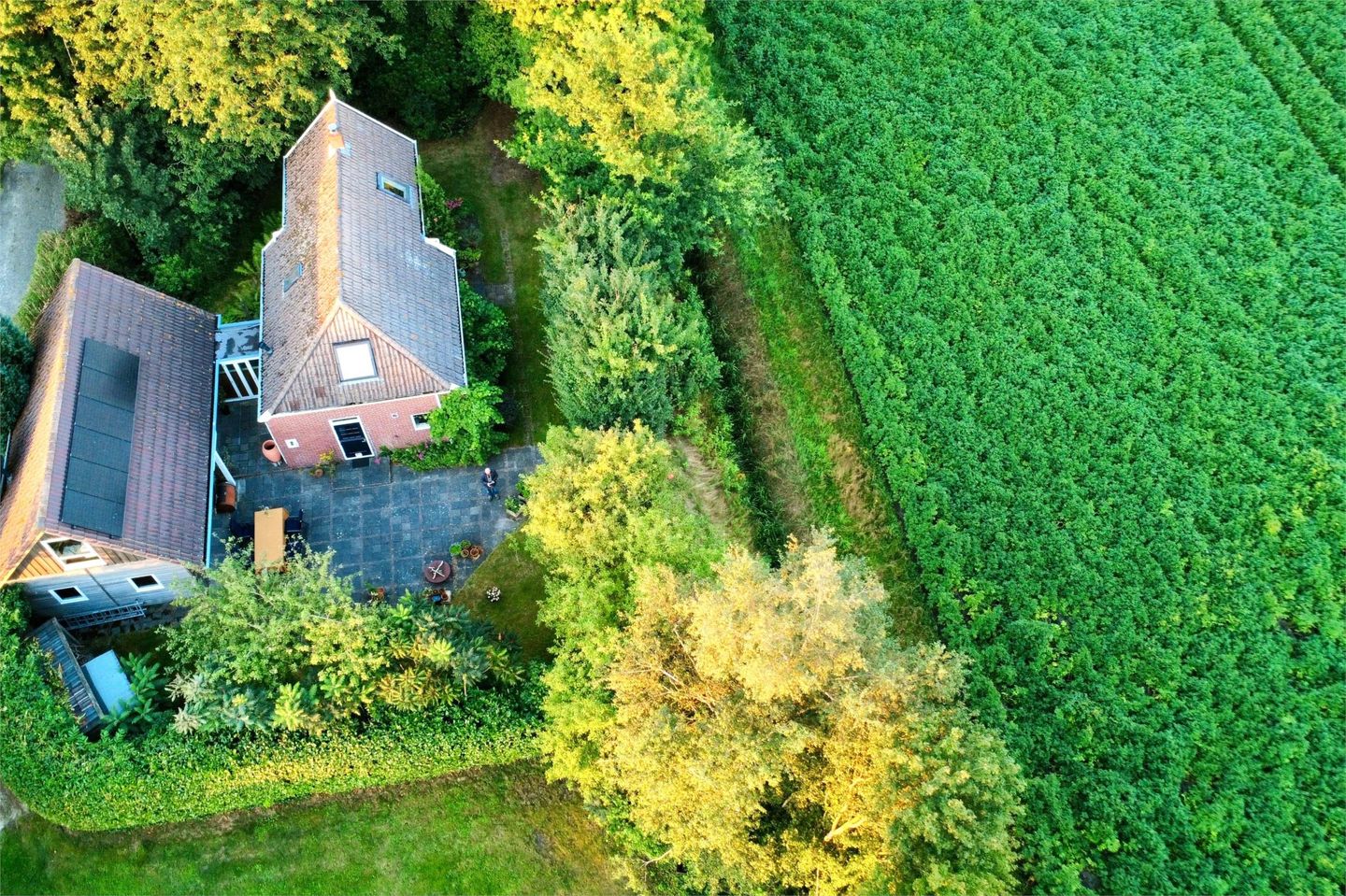 Photo 4 of Tolweg 54