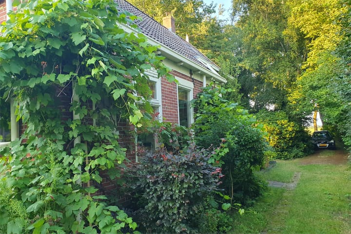 Photo 8 of Tolweg 54